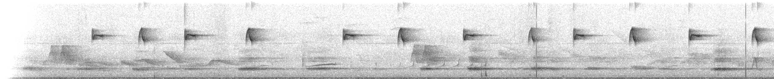 Чешуегорлый колибри-отшельник - ML174407