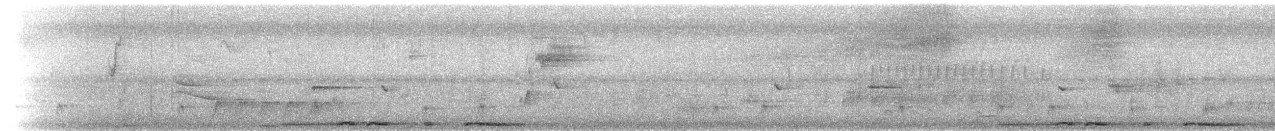 Белокрылая горлица - ML174412101