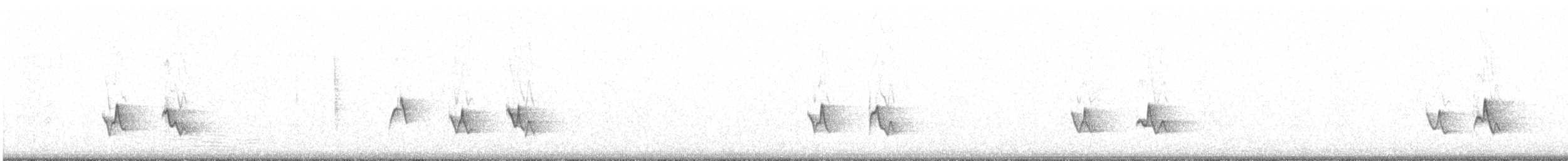 Black-whiskered Vireo - ML174477911