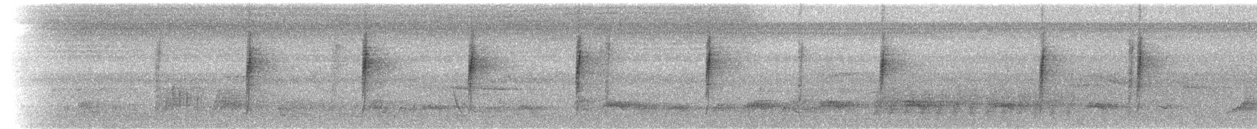 Troglodyte de Bewick - ML174505141