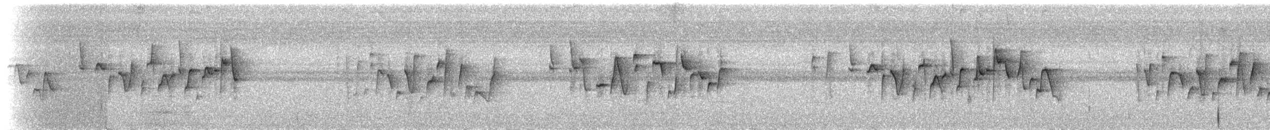 Kolombangara Leaf Warbler - ML174513531