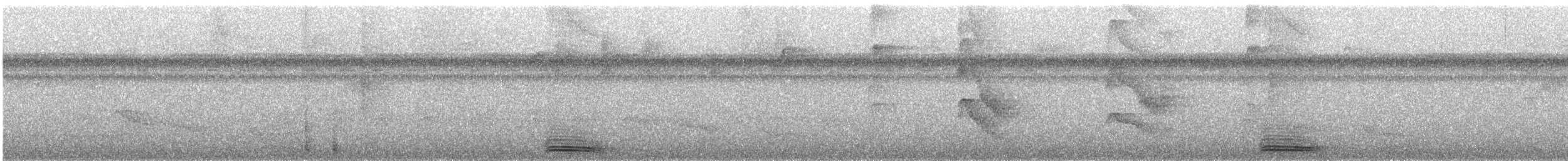 Broad-billed Motmot - ML174530941