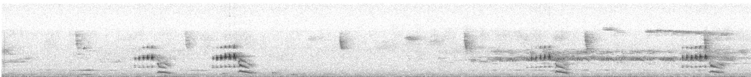 Black Rail - ML174550421