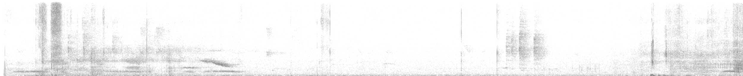 Beyaz Belli Şama - ML174575861