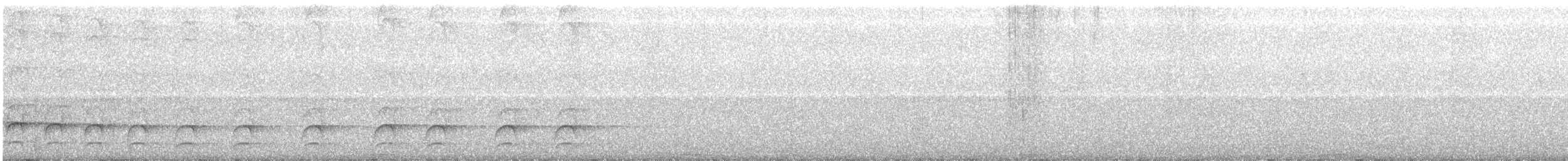 Яструб плямистохвостий - ML174584451