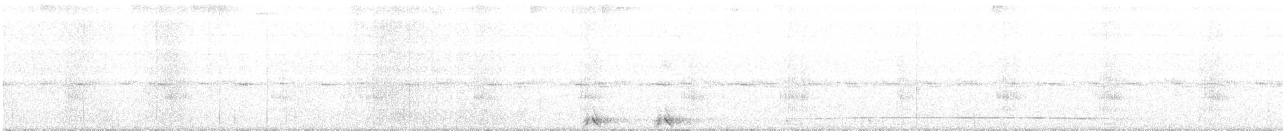 Сулавесская иглоногая сова - ML174587101