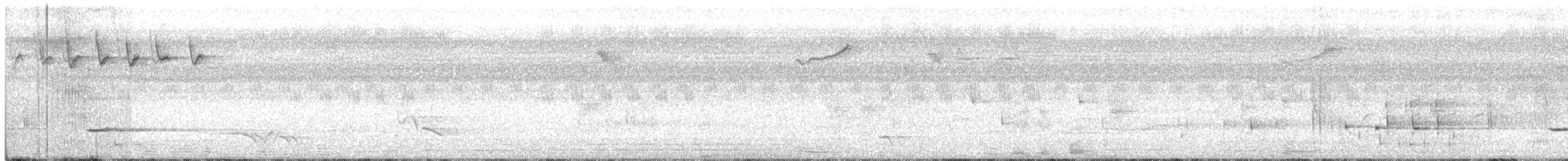 Dicée des Célèbes - ML174600501