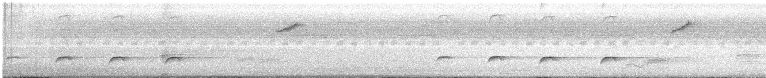 Çalı Guguğu (virescens) - ML174600581