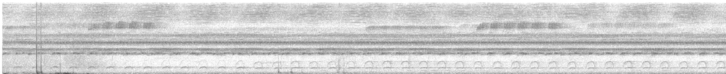 Ninoxe pointillée - ML174602741