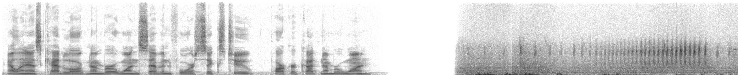 Striated Earthcreeper - ML17462