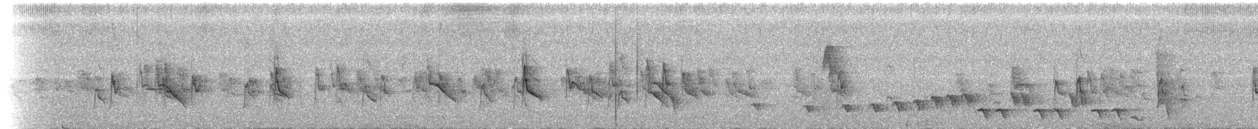 Kolombangara White-eye - ML174626111