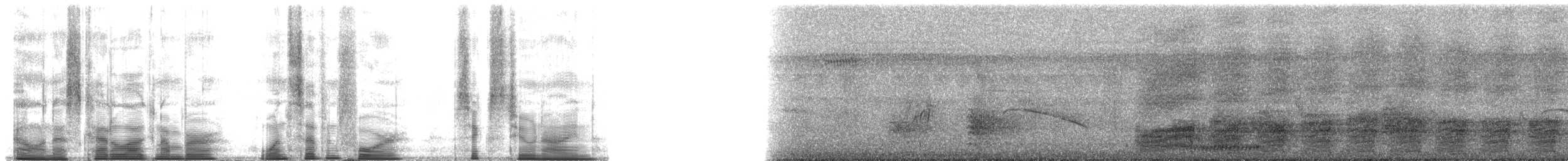 Gray Treepie - ML174629