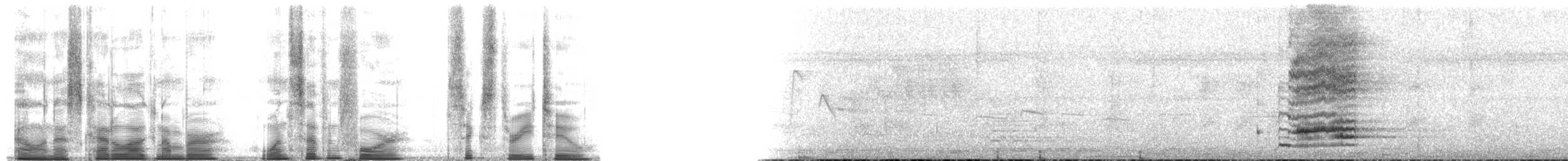 Rufous Treepie - ML174632