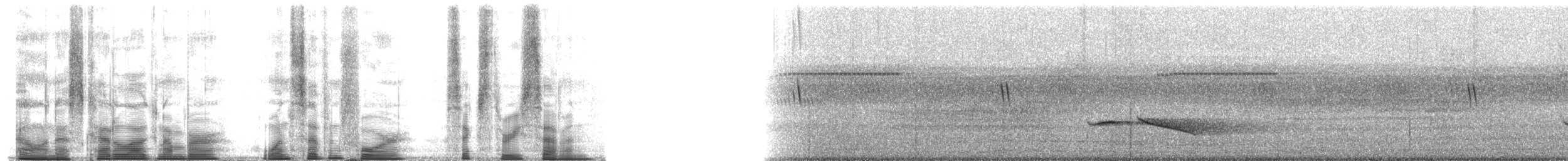 Пятнистогрудая тимелия-говорушка - ML174637