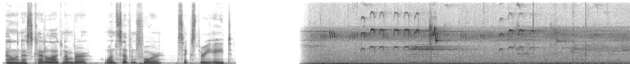 Black-chinned Babbler - ML174638