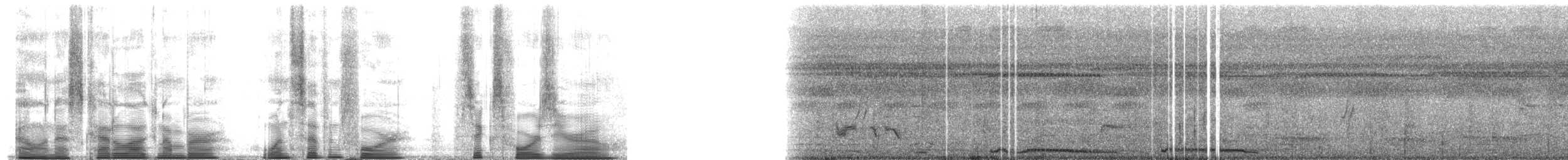 Spotted Dove (Western) - ML174640