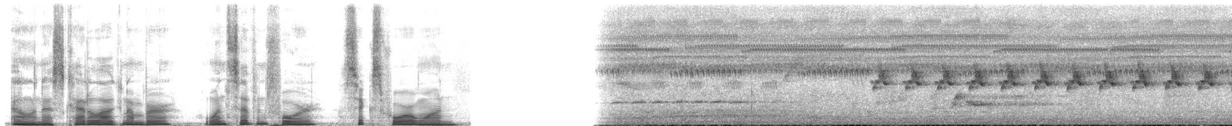 Gray-breasted Prinia - ML174641