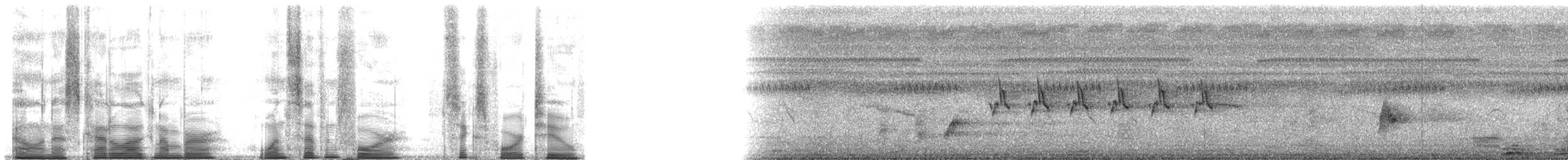 Ashy Prinia - ML174642