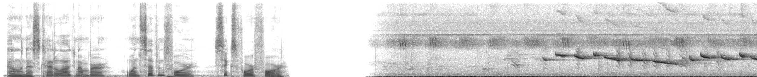 Puff-throated Babbler - ML174644