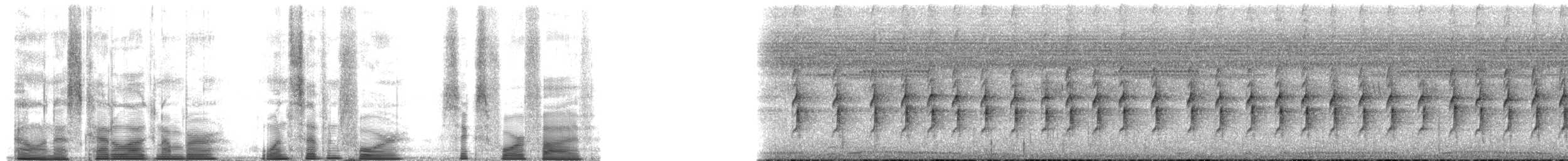 Common Tailorbird - ML174645