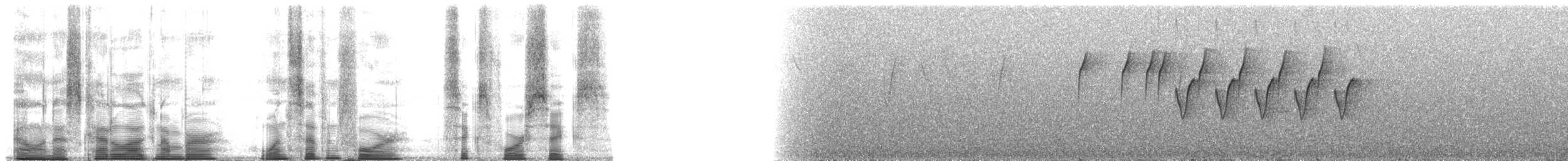 Western Crowned Warbler - ML174646