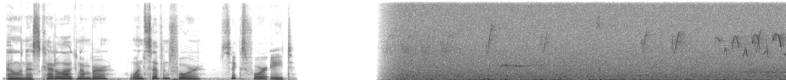 Eurasian Wren (Eurasian) - ML174648