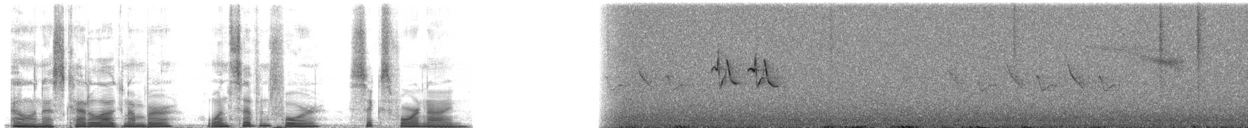 Hume's Warbler - ML174649