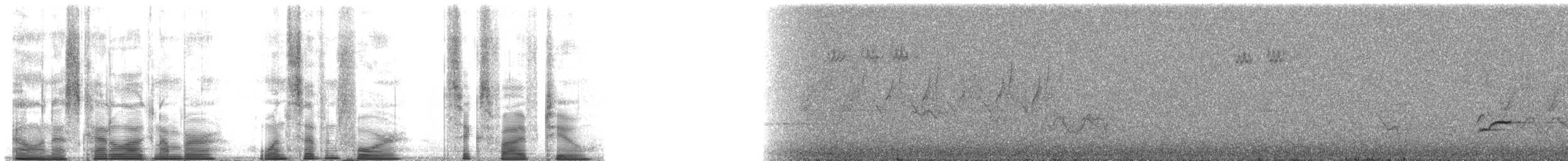 Chestnut Thrush - ML174652