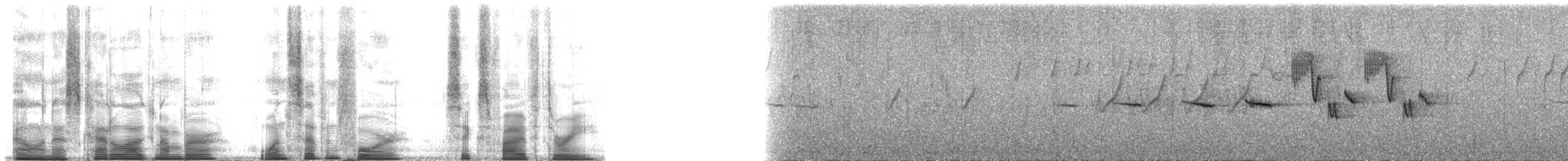 Indian Blue Robin - ML174653