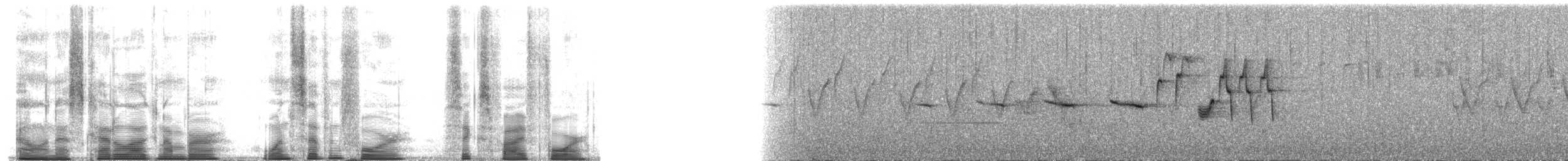 Indian Blue Robin - ML174654