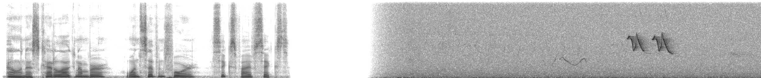 Hume's Warbler - ML174656