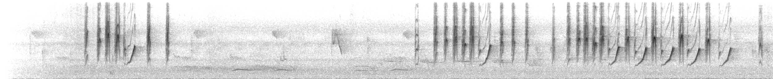 Длинноклювая нектарница - ML174672621