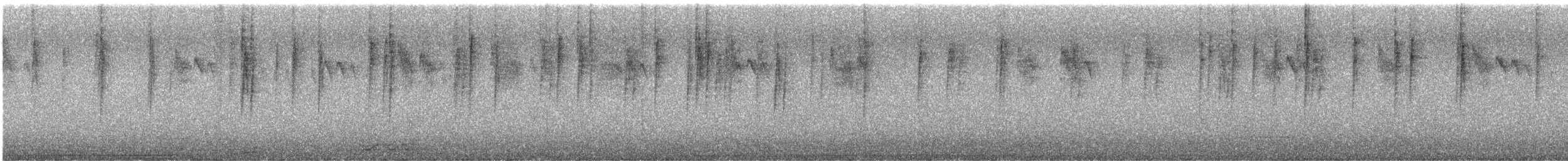Серый ополовничек [группа melanotis] - ML174704691