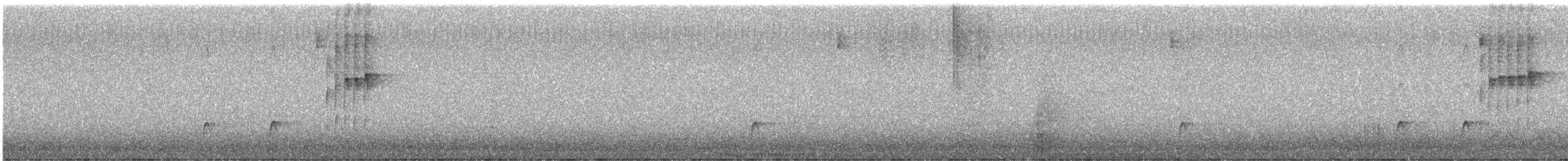 Chevêchette brune (groupe brasilianum) - ML174706081