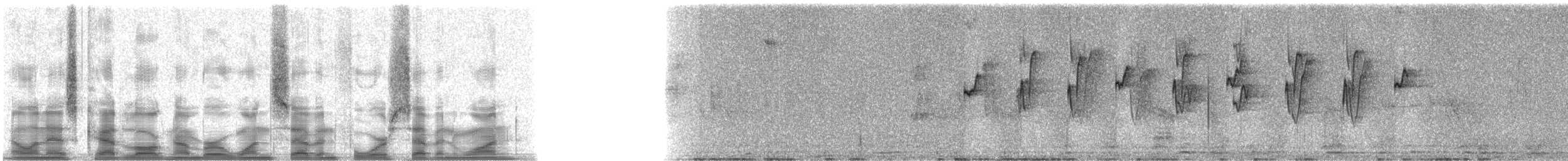 Медная ирида - ML17471