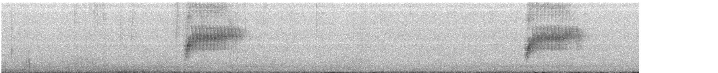 Тауї плямистий - ML174742681