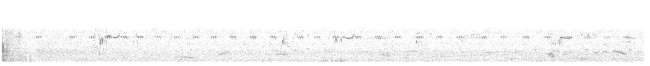 Cava Islıkçı Ördeği - ML174760921