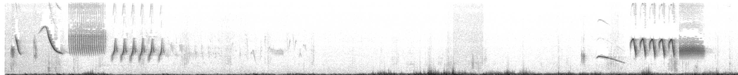 Green-tailed Towhee - ML174764241