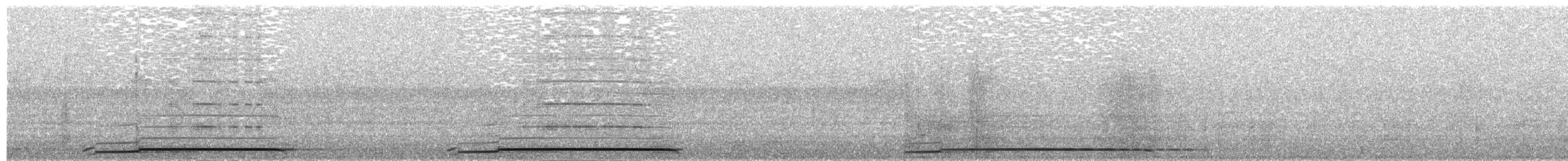 Common Loon - ML174790031