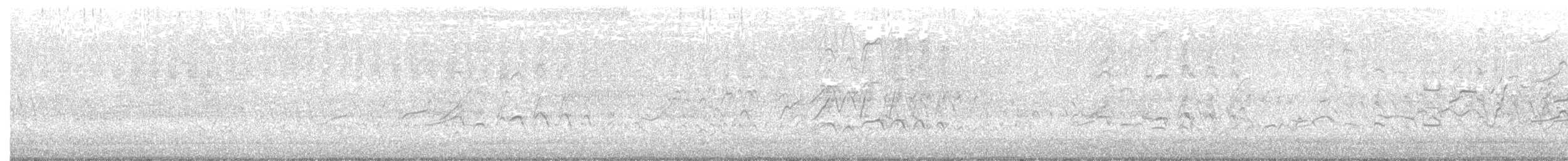 Kara Karınlı Islıkçı Ördek - ML174816011