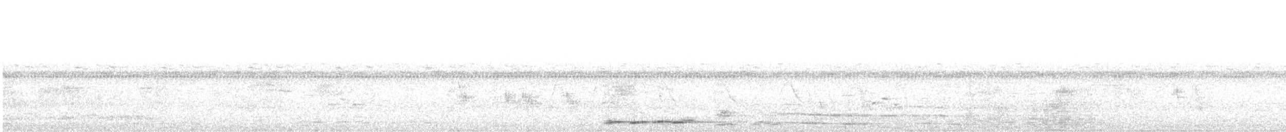 Желтоклювый саблеклюв - ML174855781