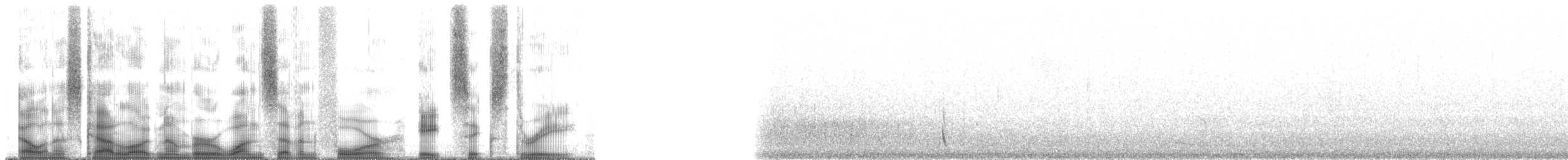 Chiguanco Thrush (anthracinus) - ML174863