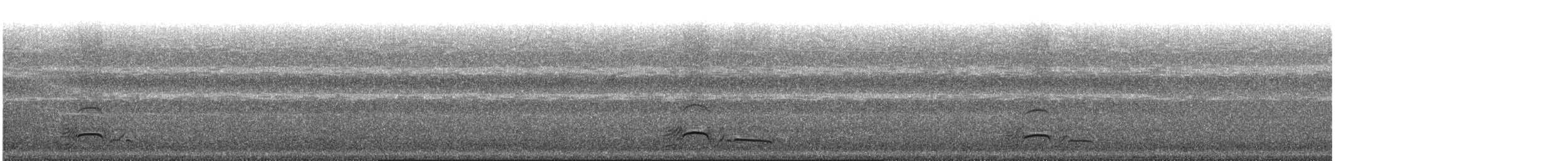 Gallo de las Praderas Rabudo - ML174871261