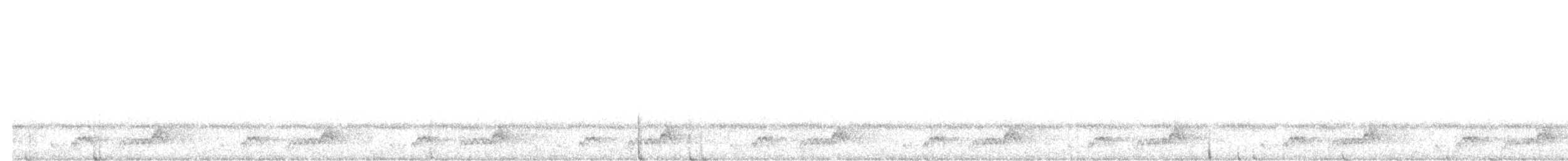 Mexikonachtschwalbe - ML174871361