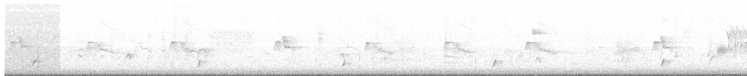 Дрізд-короткодзьоб Cвенсона - ML174895341