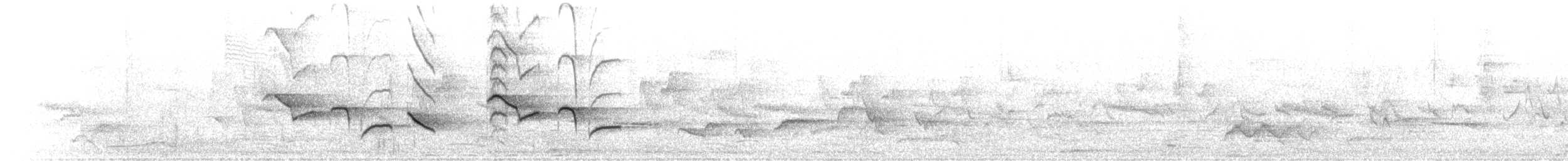 鵲鴝 - ML174929691
