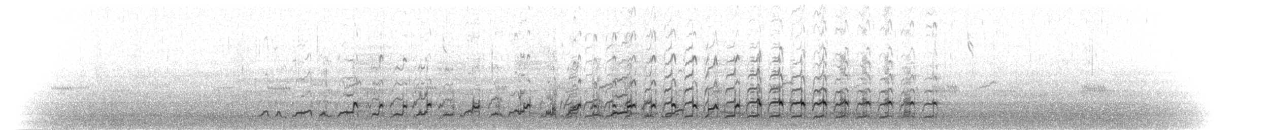 willetsnipe - ML174943461