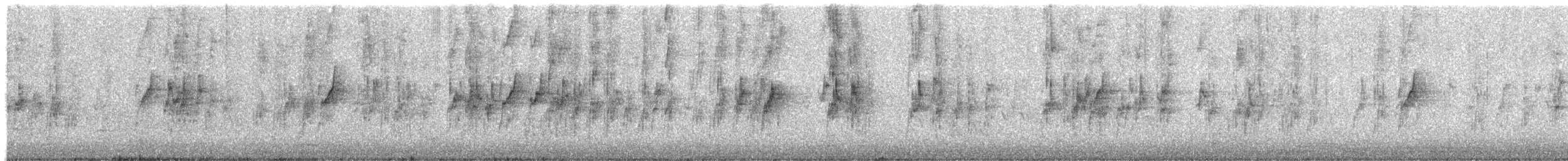 grønnbrillet spurvepapegøye - ML174996791