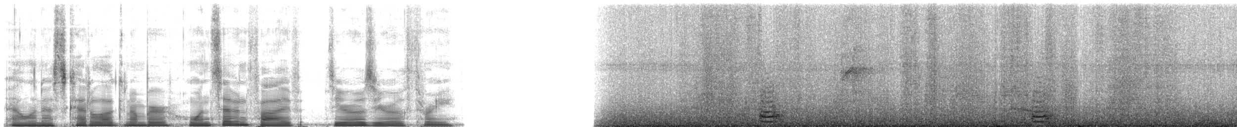 灰腳秧雞 - ML175003
