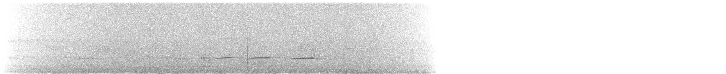 Spotted Quail-thrush - ML175021521